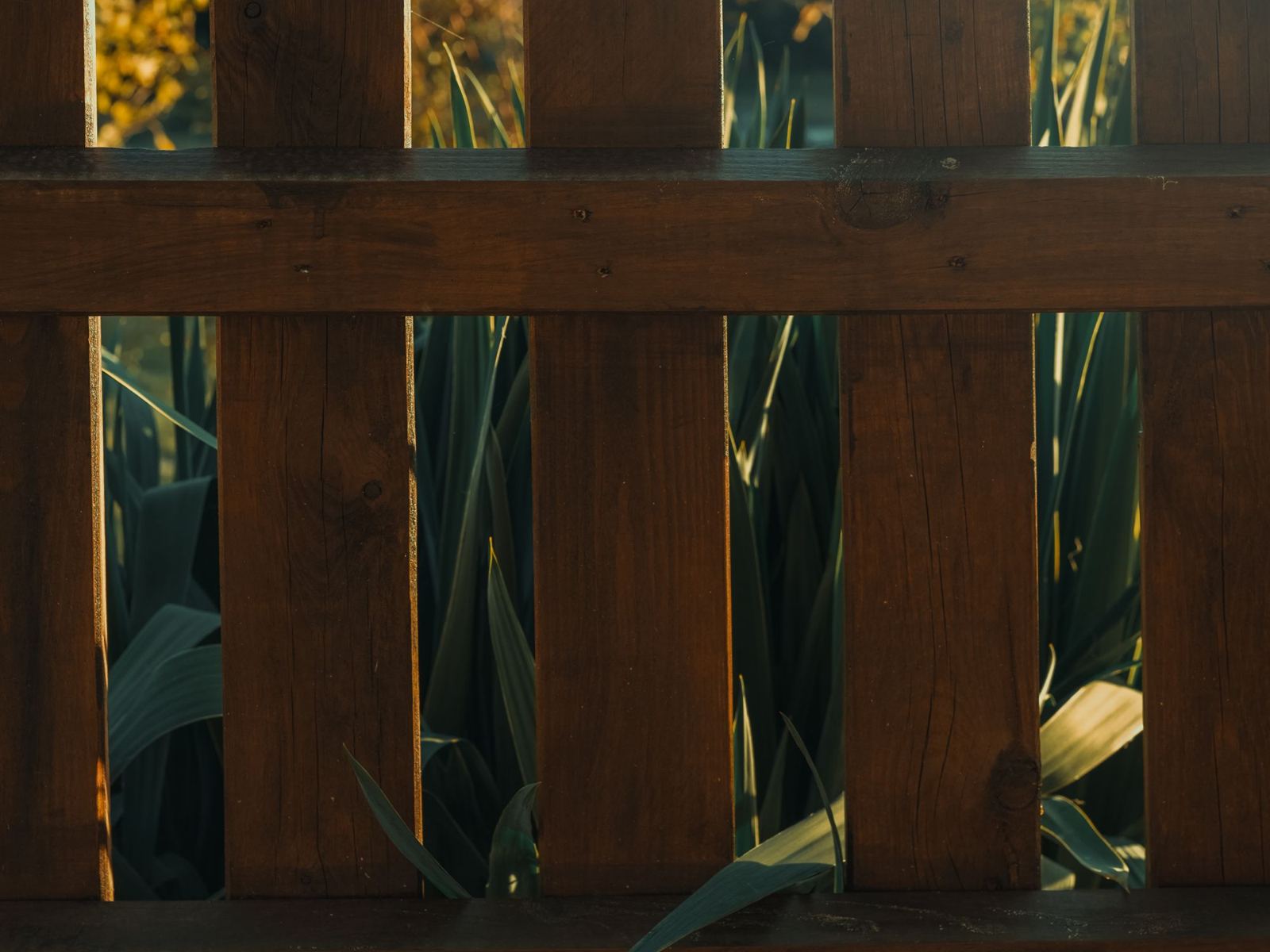 Close-up of a wooden picket fence in a garden